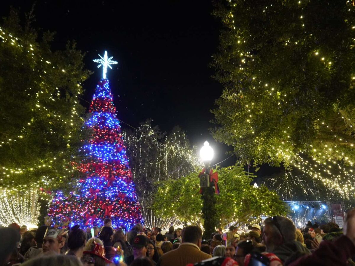 VIDEO: Light Up Ocala draws thousands to downtown