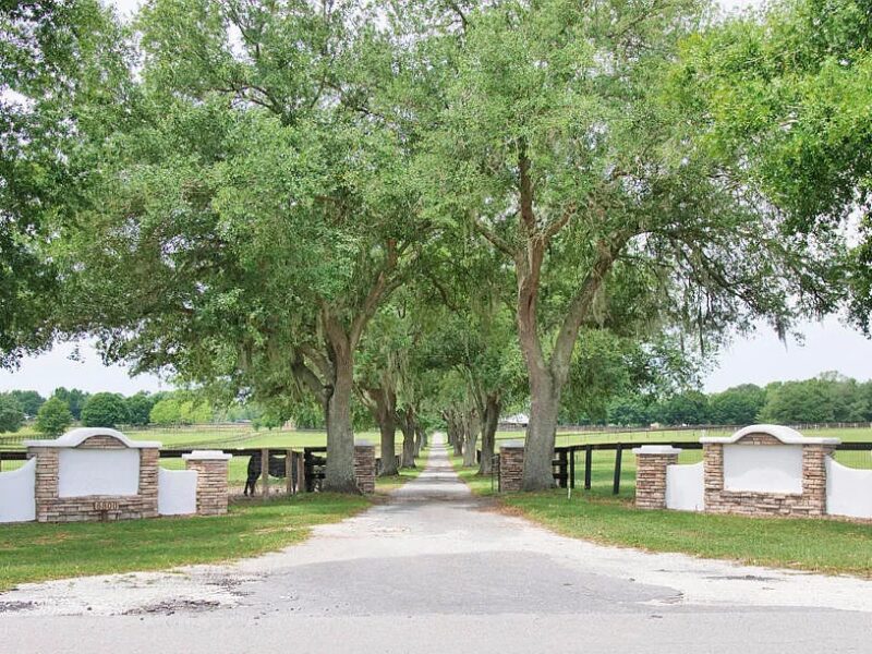 19-acre farm in southwest Ocala sold for nearly $1.3 million