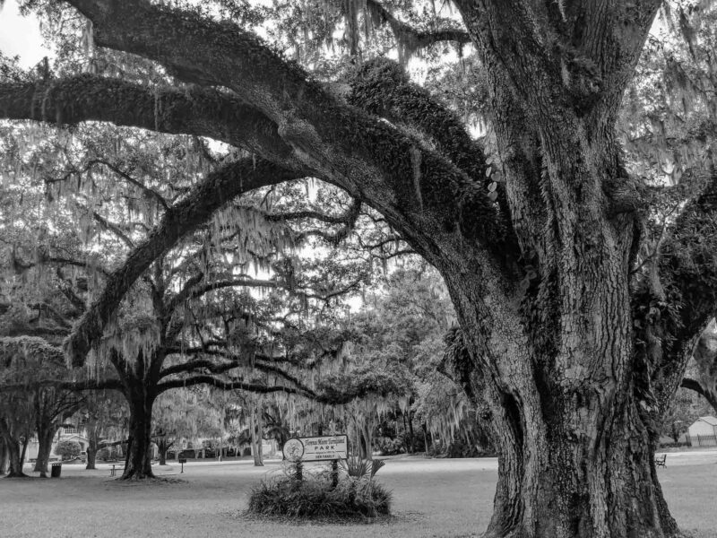 Florence Moore Turnipseed Park in Ocala on August 27, 2019.