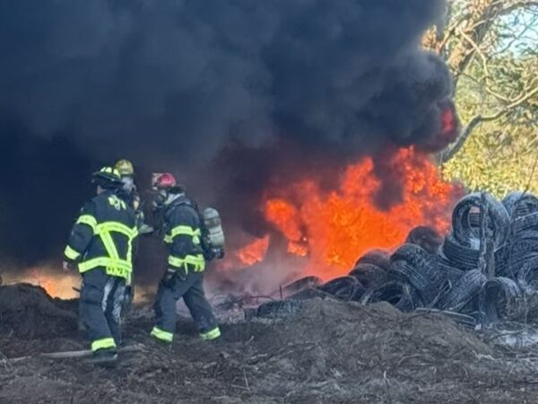 Trees ignite after fire escapes burn pit in Marion County