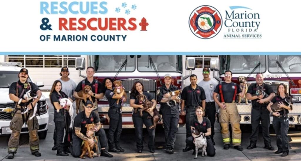 The Rescues and Rescuers calendar is now on sale.