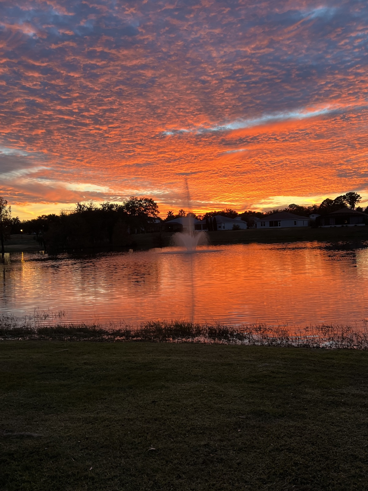 Stunning sunset sky in the Summerglen Community