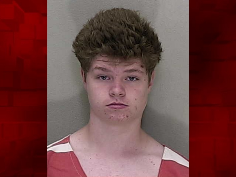 Marion teen who sexually assaulted 91-year-old neighbor facing life in prison