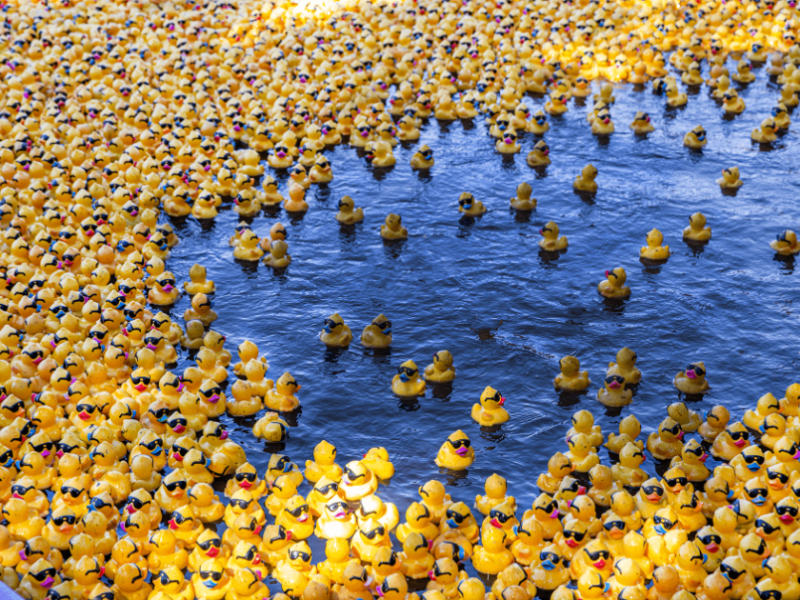 Rotary Duck Derby returns to Tuscawilla Park this weekend