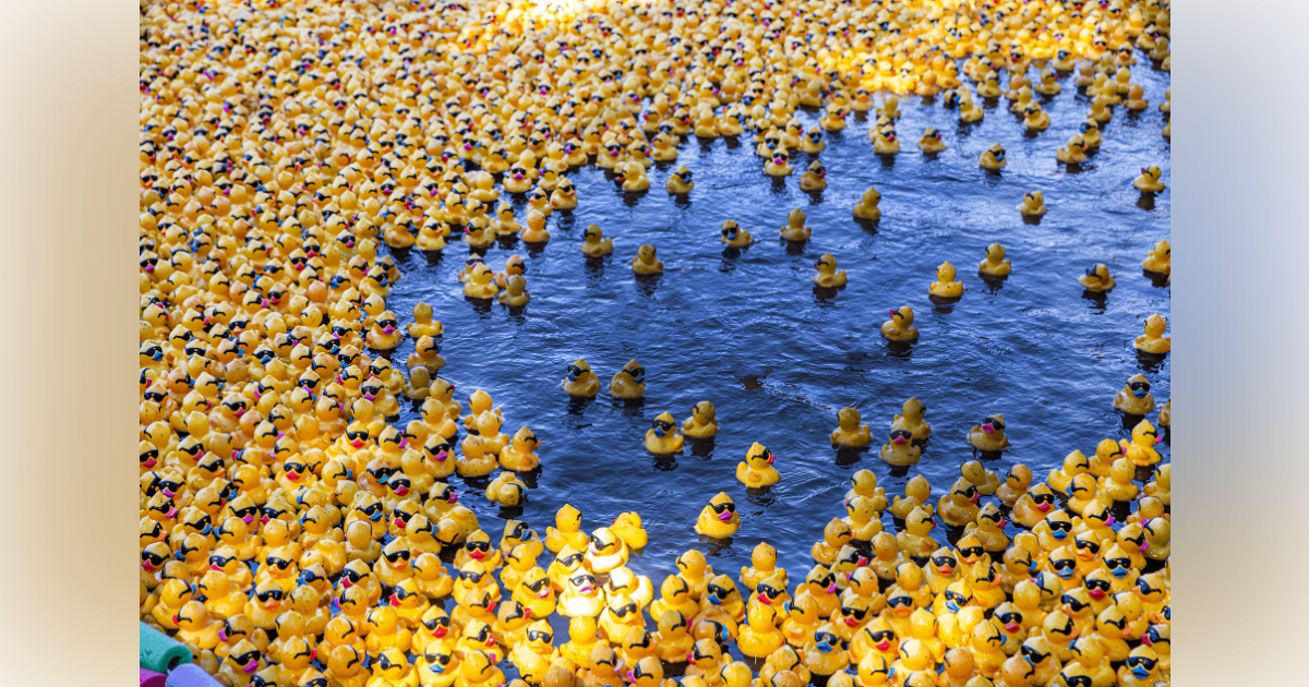 Duck Derby