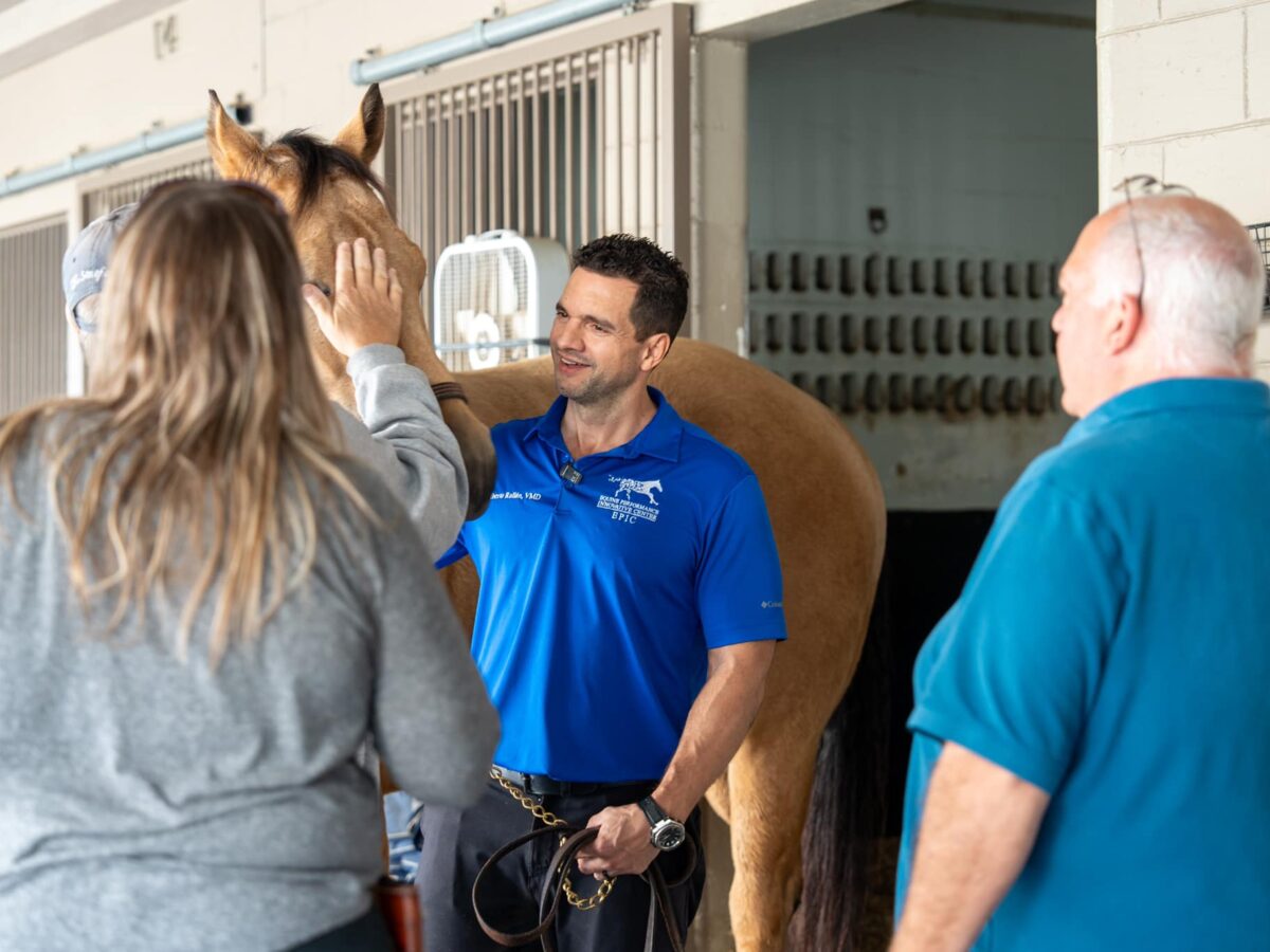 Ocala equine vet fulfills lifelong vision with 25-acre rehab center