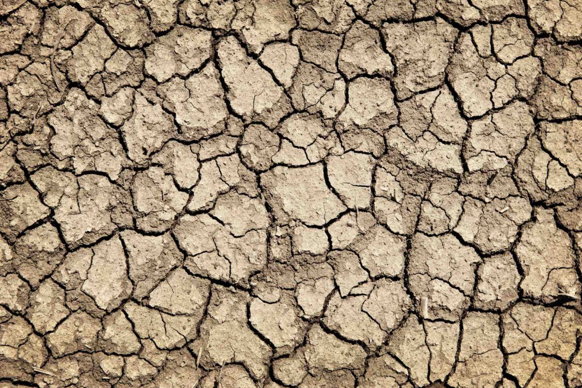 Dry soil due to drought