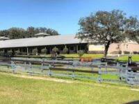 25-acre horse rehab center in Ocala sold for $2.7 million