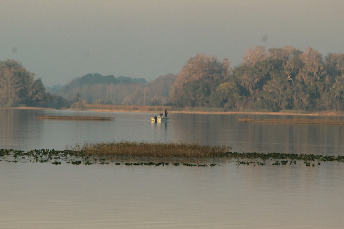 Late afternoon fishing on Lake Hernando