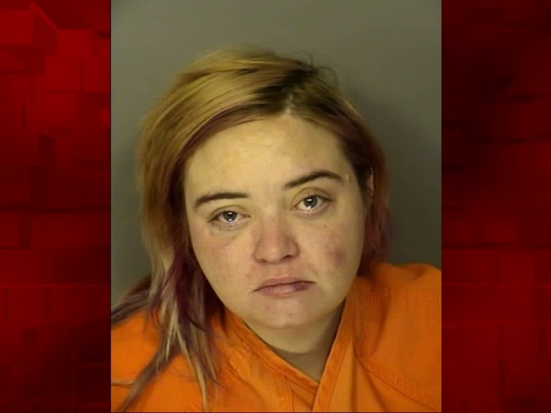 Ocala woman arrested for DUI, failing to return local rental car she drove to South Carolina