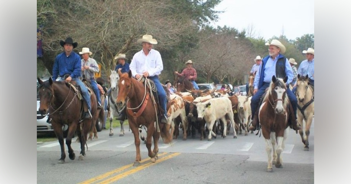 Ocala's Cattle Drive and Cowboy RoundUp returns on February 11 Ocala